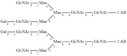A2[3]G1 & A2[6]G1 glycan (G1), 2-AB labelled