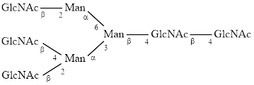 A3 glycan