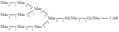 M9 glycan (Man9), 2-AB labelled
