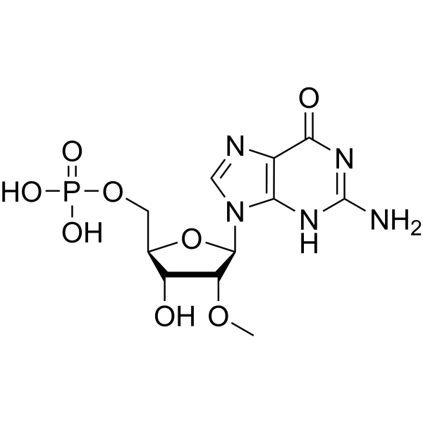 2′-O-Methylguanosine 5′-monophosphate