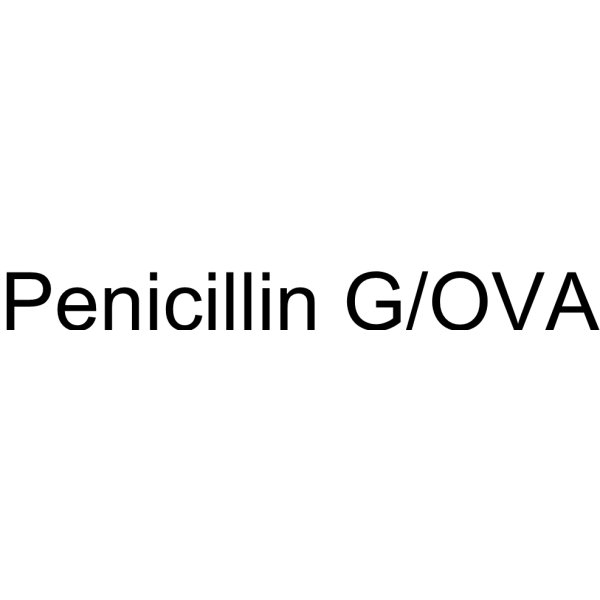 Penicillin G/OVA