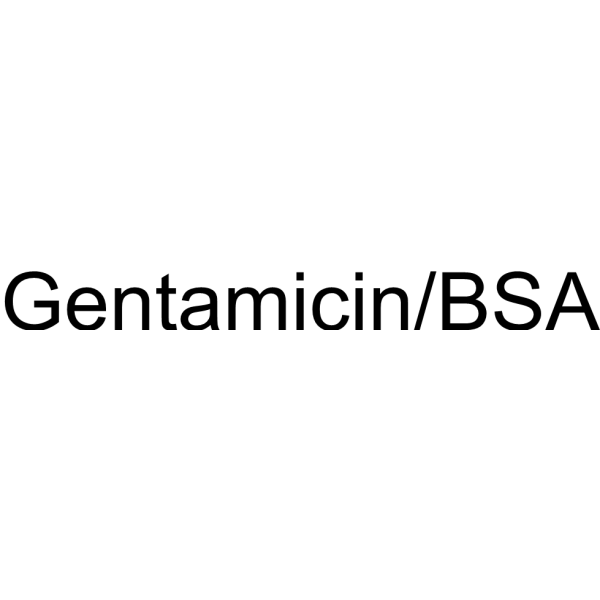 Gentamicin/BSA
