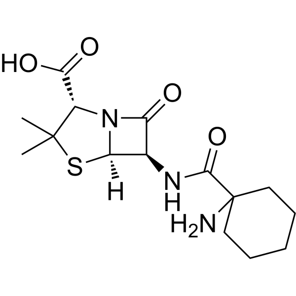 Cyclacillin (Standard)