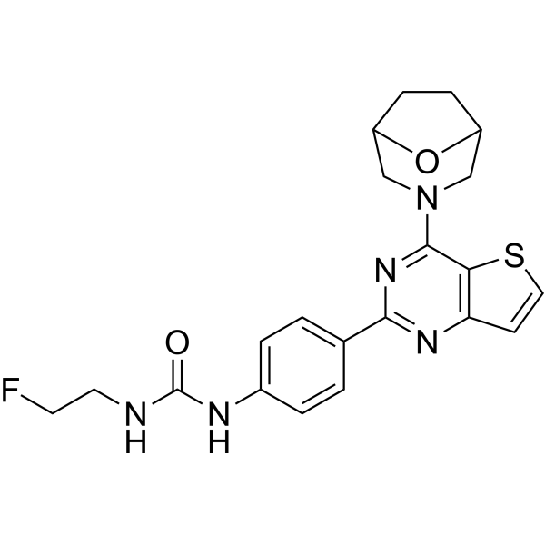 mTOR inhibitor-10
