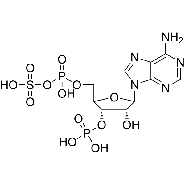 Adenosine 3'-phosphate 5'-phosphosulfate