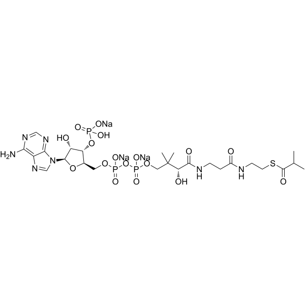 Isobutyryl-CoA trisodium