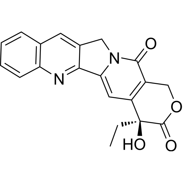 Camptothecin (Standard)