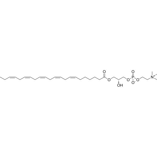 1-Docosapentaenoyl-2-hydroxy-sn-glycero-3-phosphatidylcholine