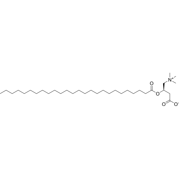 Hexacosanoyl-L-carnitine hydrochloride