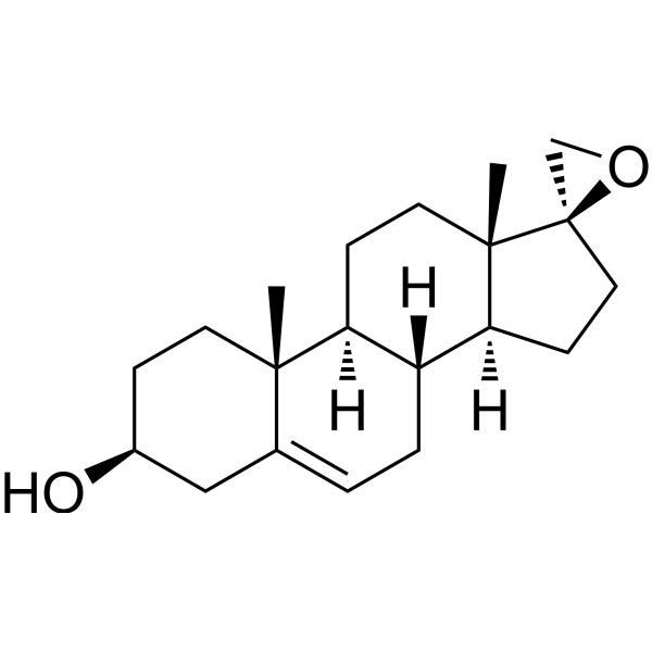 BNN-20