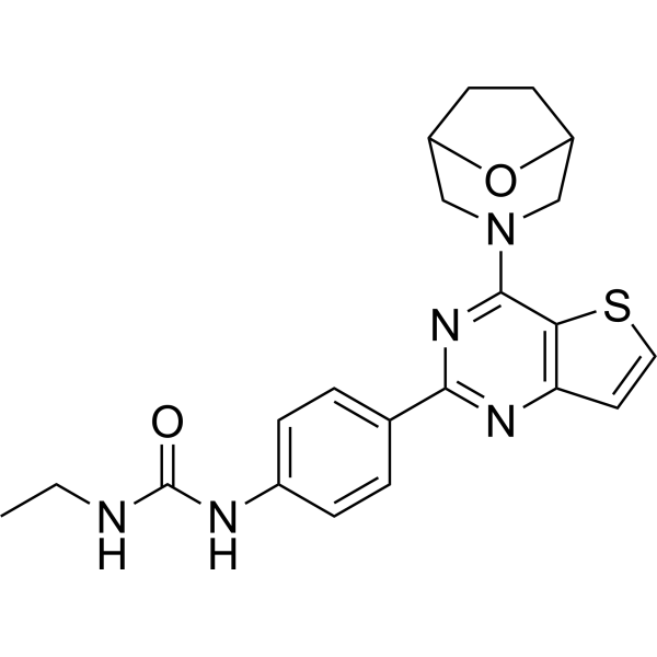 mTOR inhibitor-25