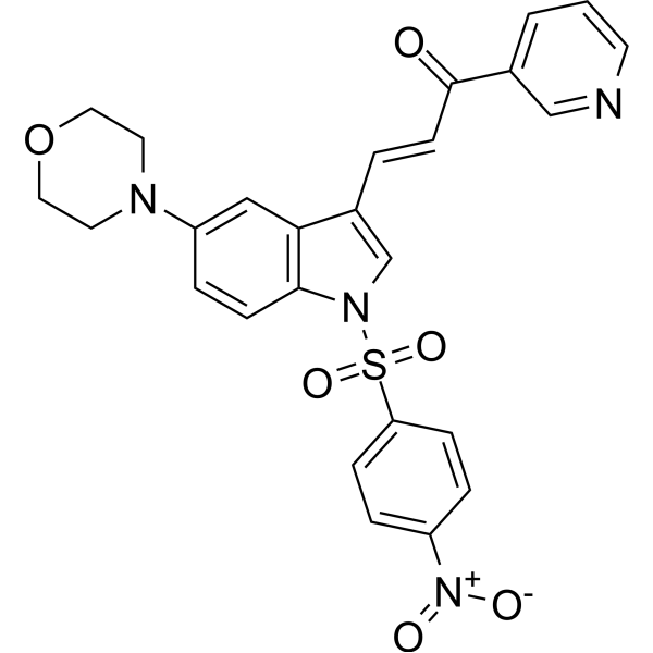 HK-2-IN-2