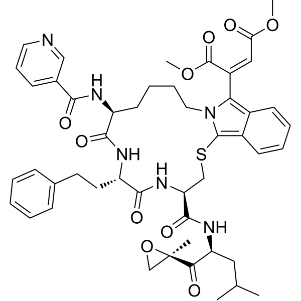 Proteasome-IN-7