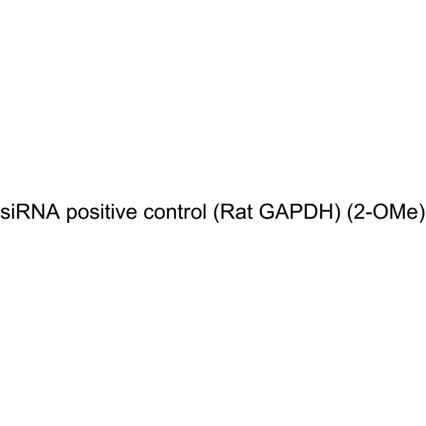 siRNA positive control (Rat GAPDH) (2-OMe)