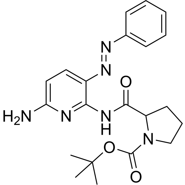 SARS-CoV-2 RdRp-IN-1