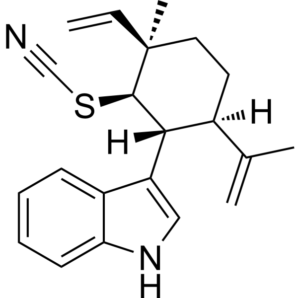 YAP-IN-1