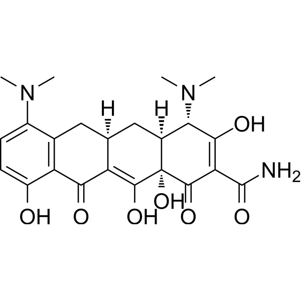 Minocycline