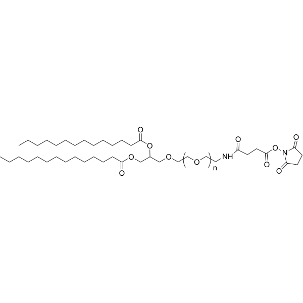 DMG-PEG-NHS (MW 3400)