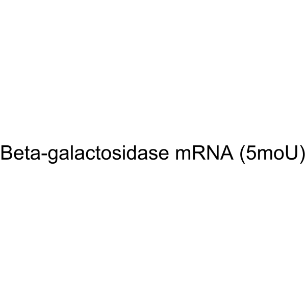 β-galactosidase mRNA (5moU)