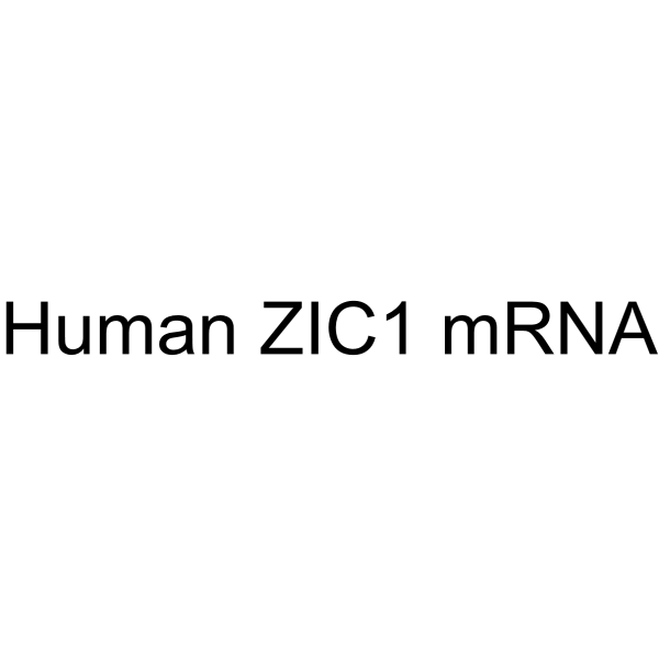 Human ZIC1 mRNA