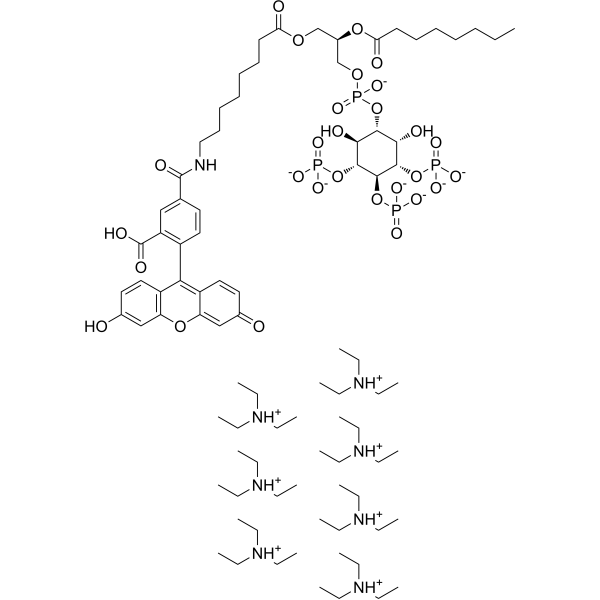 PtdIns-(3,4,5)-P3-fluorescein triethylammonium