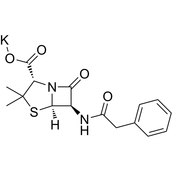 Penicillin G potassium (Standard)