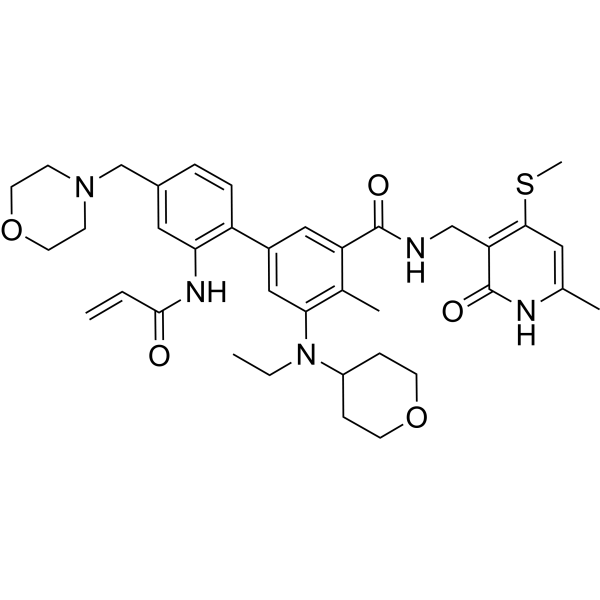BBDDL2204