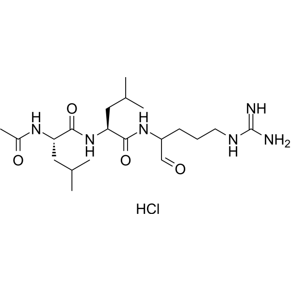 Leupeptin Ac-LL hydrochloride