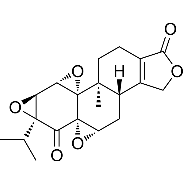 Triptonide