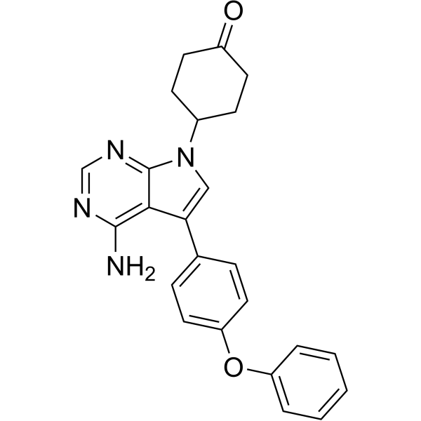 Protein kinase inhibitor 9