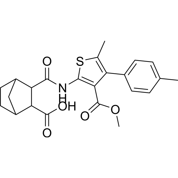 endo CNTinh-03