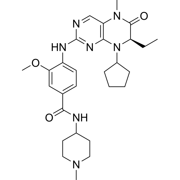 BI 2536