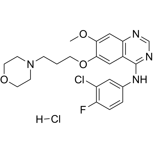 Gefitinib hydrochloride (Standard)
