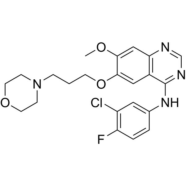 Gefitinib (Standard)
