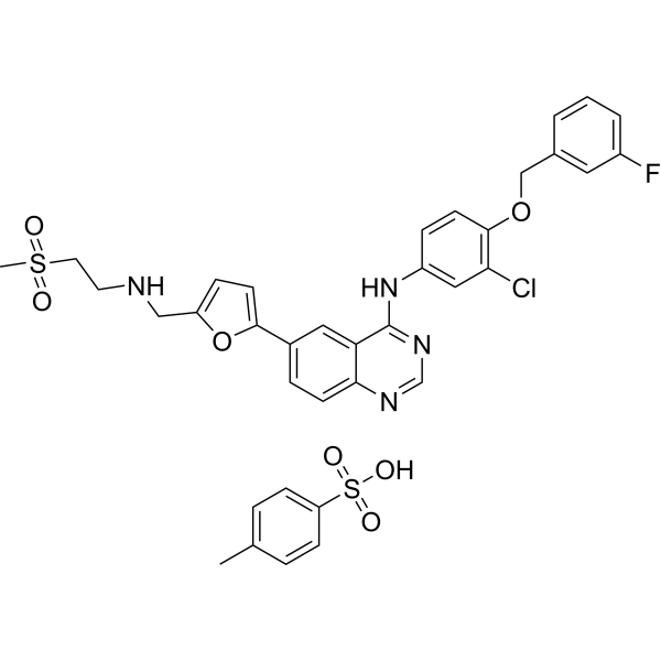 Lapatinib tosylate