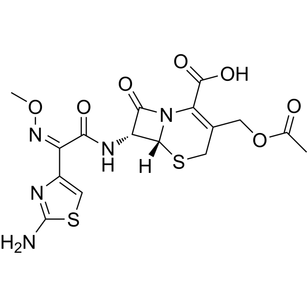 Cefotaxime (Standard)