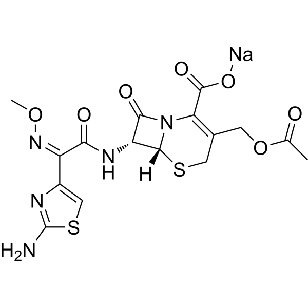 Cefotaxime sodium (Standard)