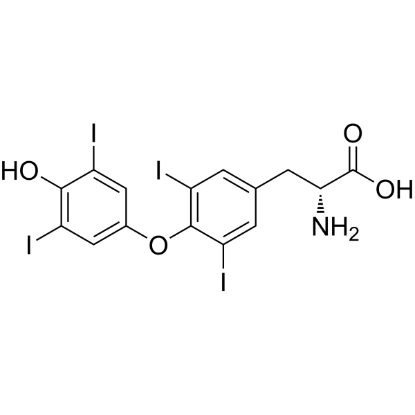 D-Thyroxine (Standard)