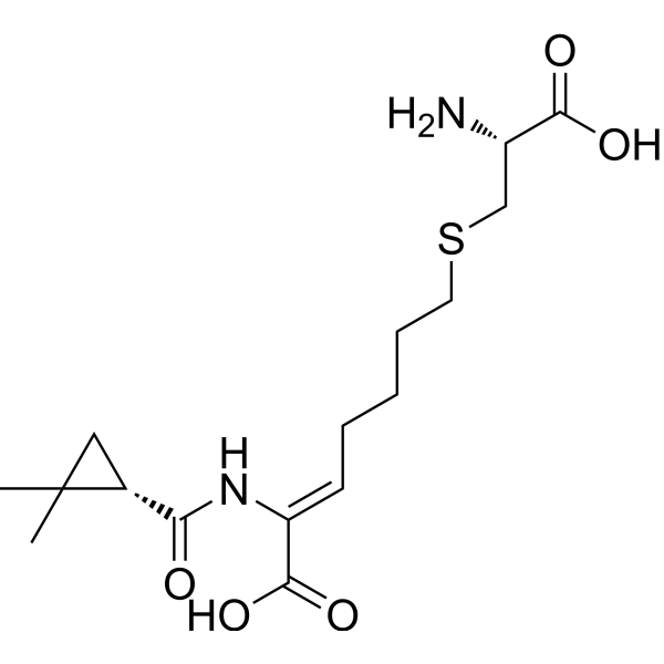 Cilastatin