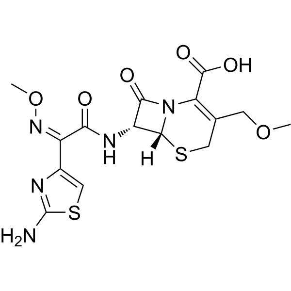Cefpodoxime (Standard)