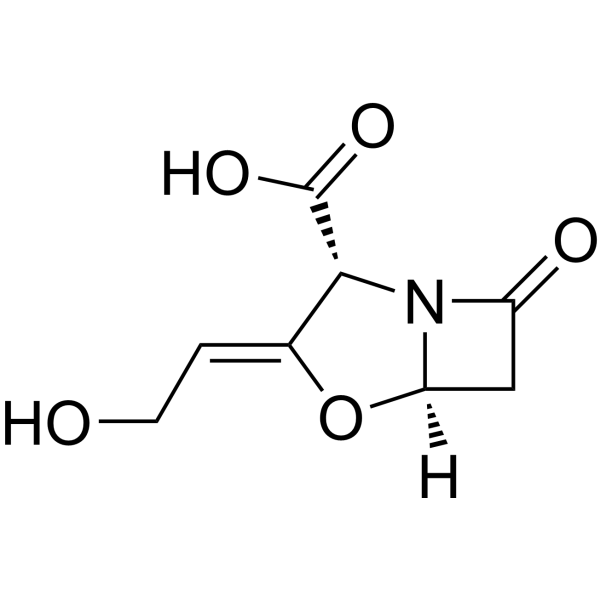 Clavulanic acid (Standard)