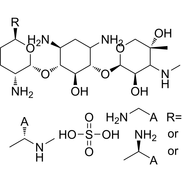 Gentamicin sulfate (Standard)