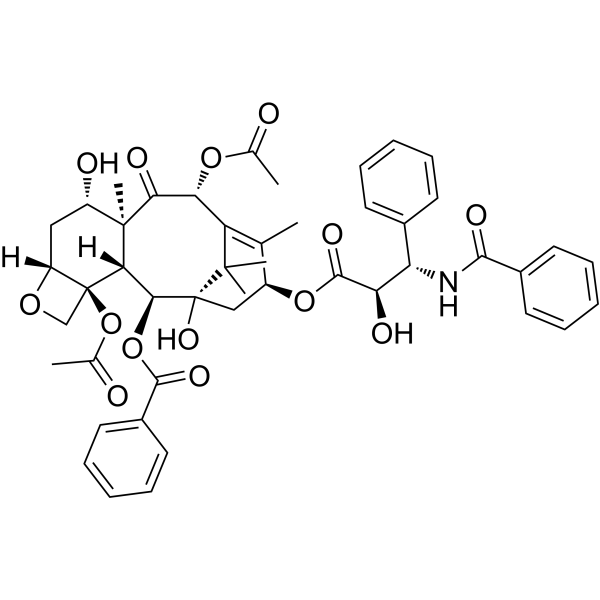 Paclitaxel (Standard)