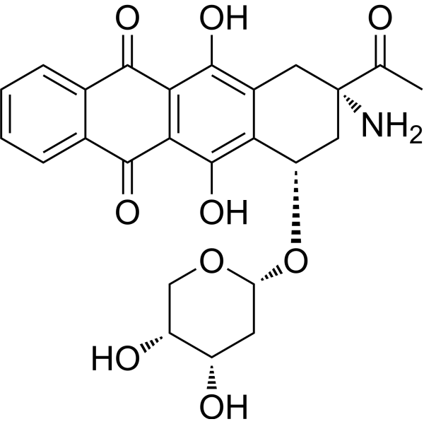 (R)-Amrubicin