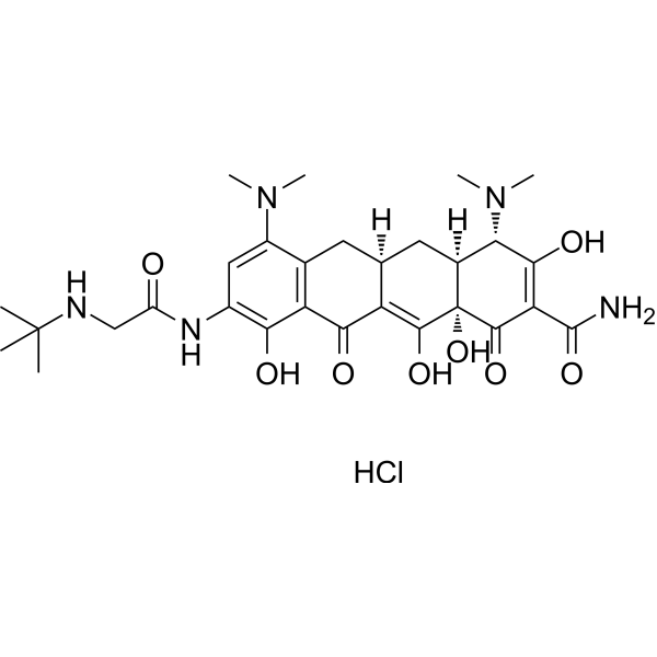 Tigecycline hydrochloride