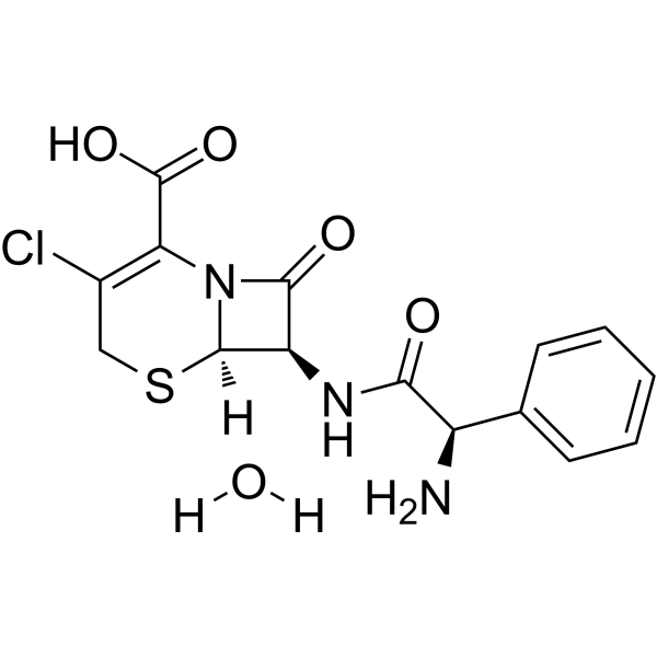 Cefaclor monohydrate
