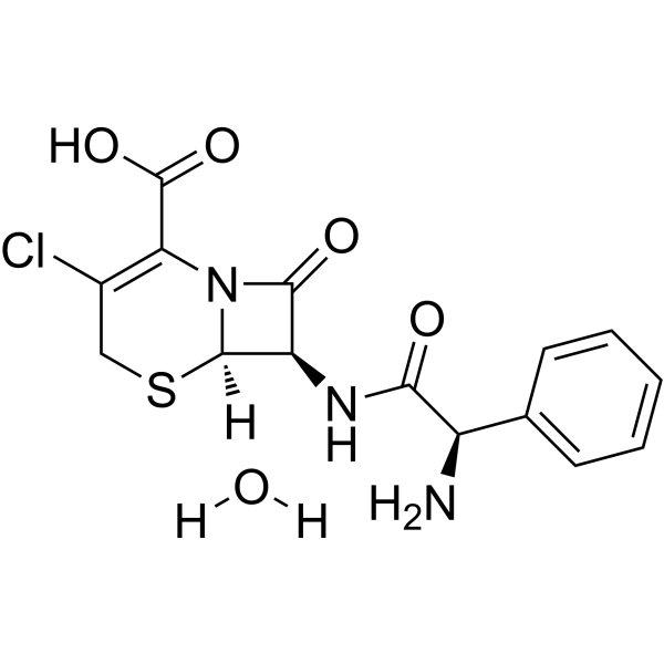 Cefaclor monohydrate (Standard)