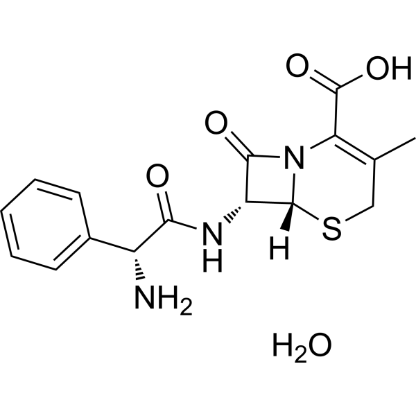Cephalexin monohydrate