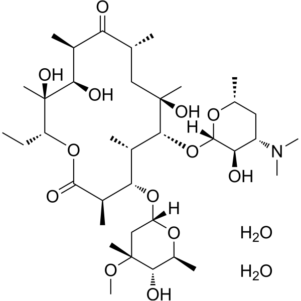 Erythromycin A dihydrate