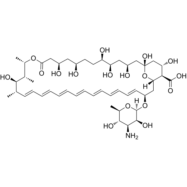 Amphotericin B